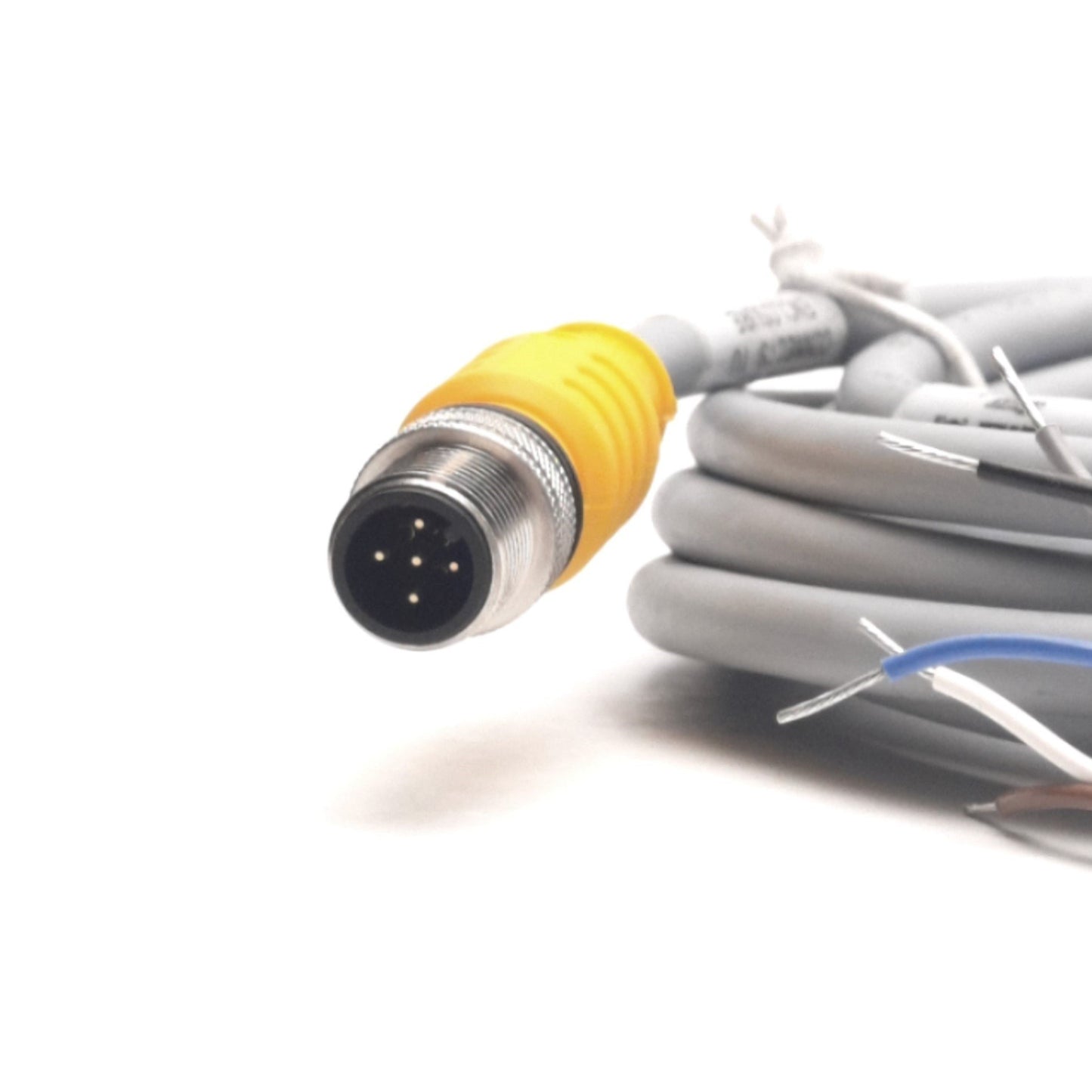 New Turck RSS 4.5T-4 Single-Ended Cordset, Male M12, 5-Wire, 5x22 AWG, 4m Long