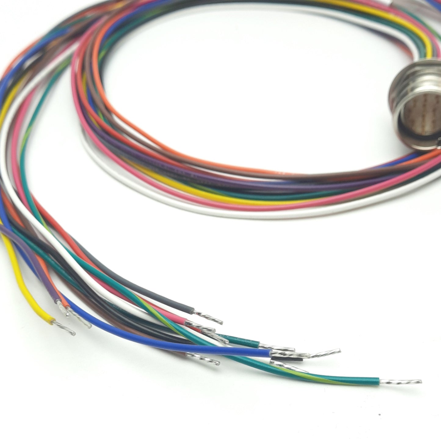 New Turck CSF 12-12-1 Panel Mount Connector, M23 Male 12-Pin, 1m, 300 VAC, 6 A