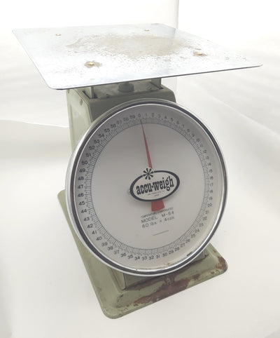 Used Accu-Weigh M-64 Dial Scale, Range: 0-60 Lbs., Top Dimensions: 12" x 12"