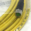 New Lot of 2 Murr 7000-40561-0100600 Sensor Cable Cordset 3-Pin M12/M8, 60V 4A, 6m