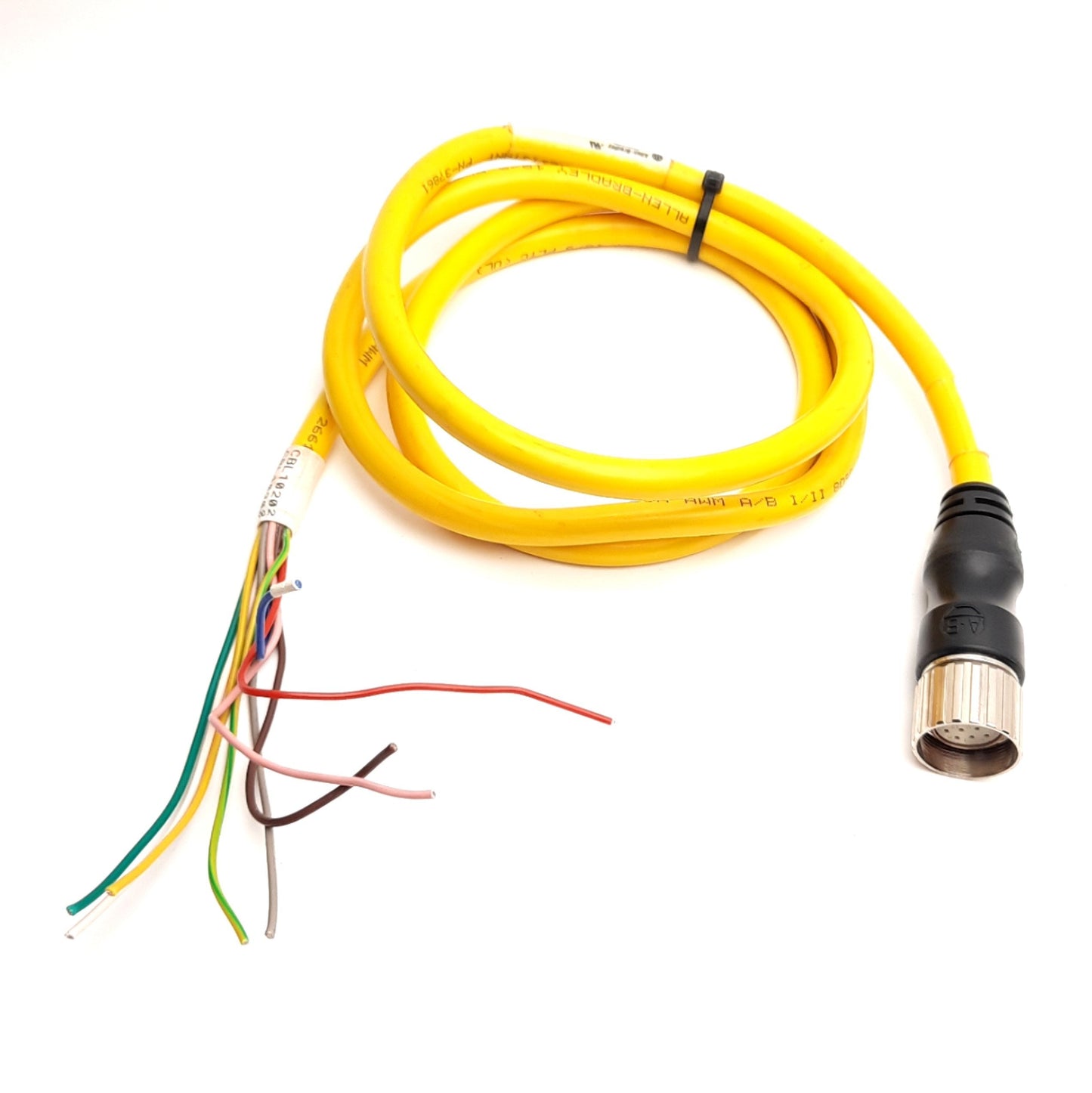 Used Allen Bradley 889M-FX9AE-5 QD Style Cordset, M23 12-Pin, 5Ft, 30V 6A Max