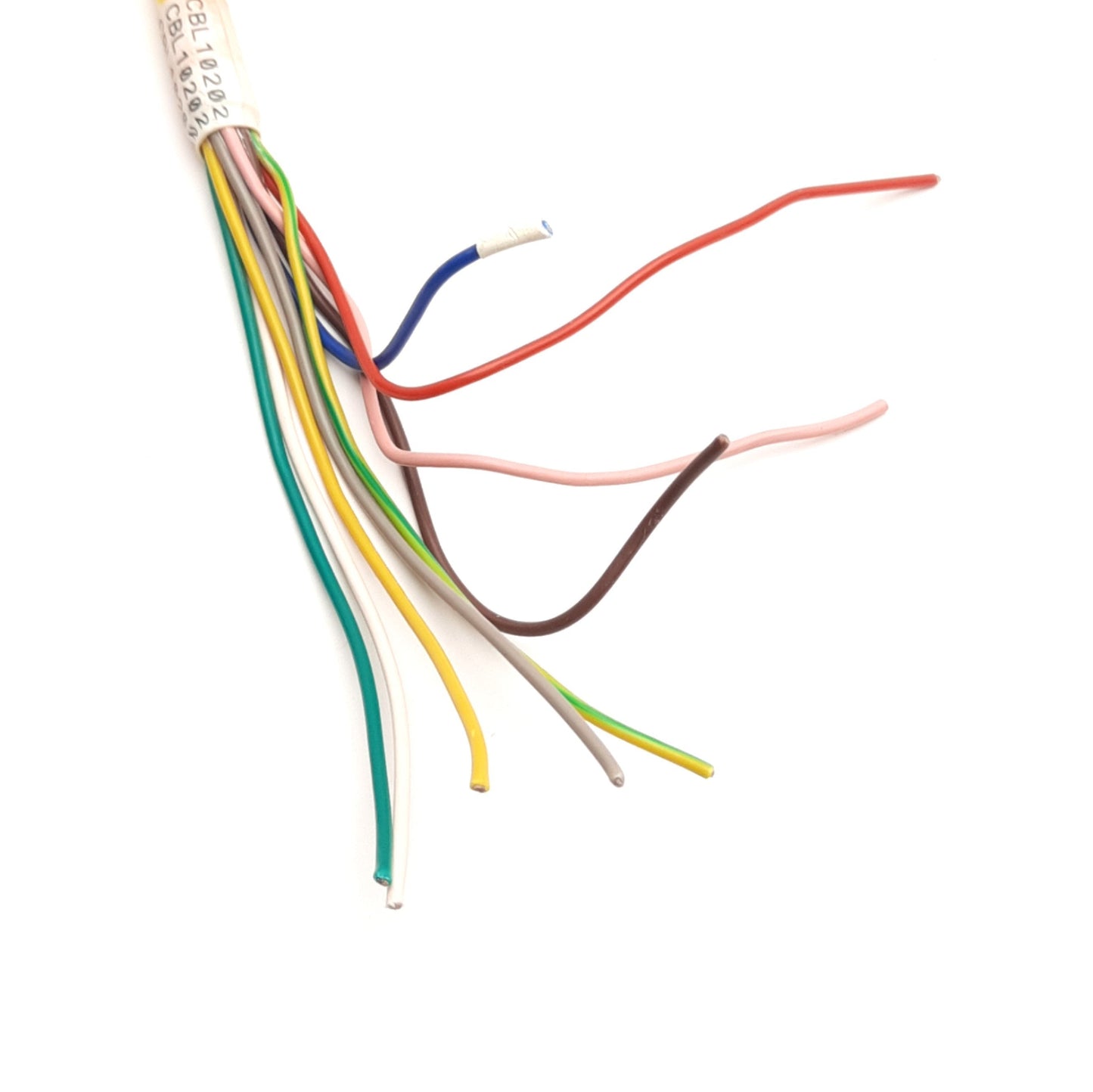 Used Allen Bradley 889M-FX9AE-5 QD Style Cordset, M23 12-Pin, 5Ft, 30V 6A Max