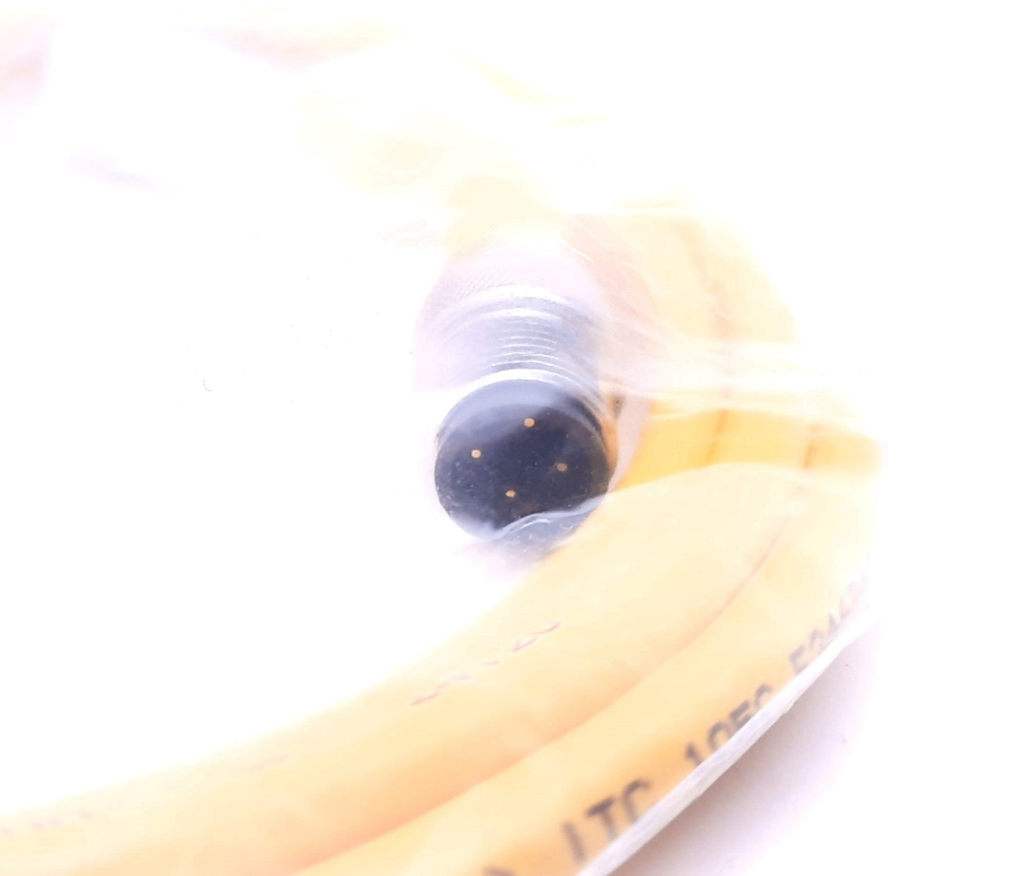 New Turck RK 4.43T-1.2-RS 4.43T Cordset M12 Eurofast Male Straight to M12 Female