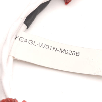 SensorTec FGAGL-W01N-M028B RTD Sensor, Pt100Ω 2-Wire, 6mm x 1-5/8" Probe, Teflon