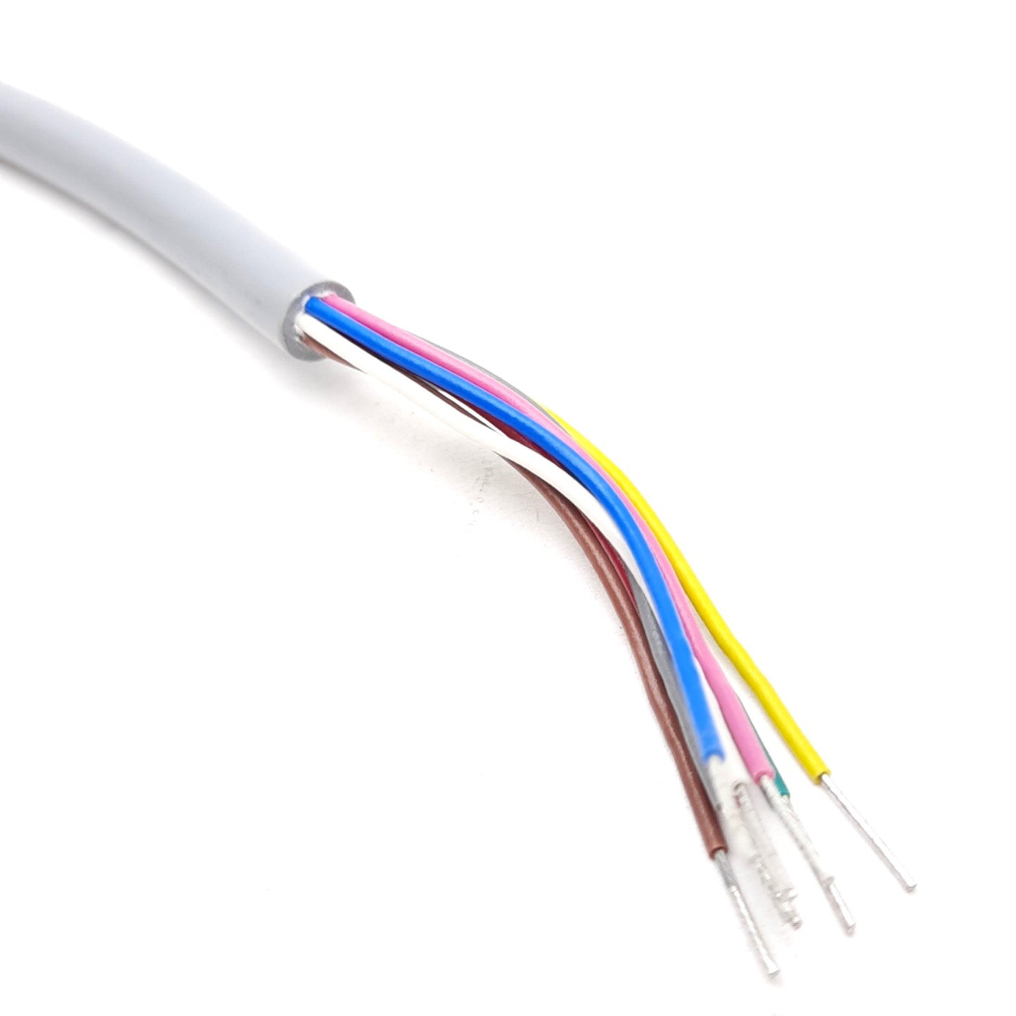 New Turck RKC 8T-5 Single Ended Cordset M12 Female Straight 8-Pin, 60-75V 2A, 5m