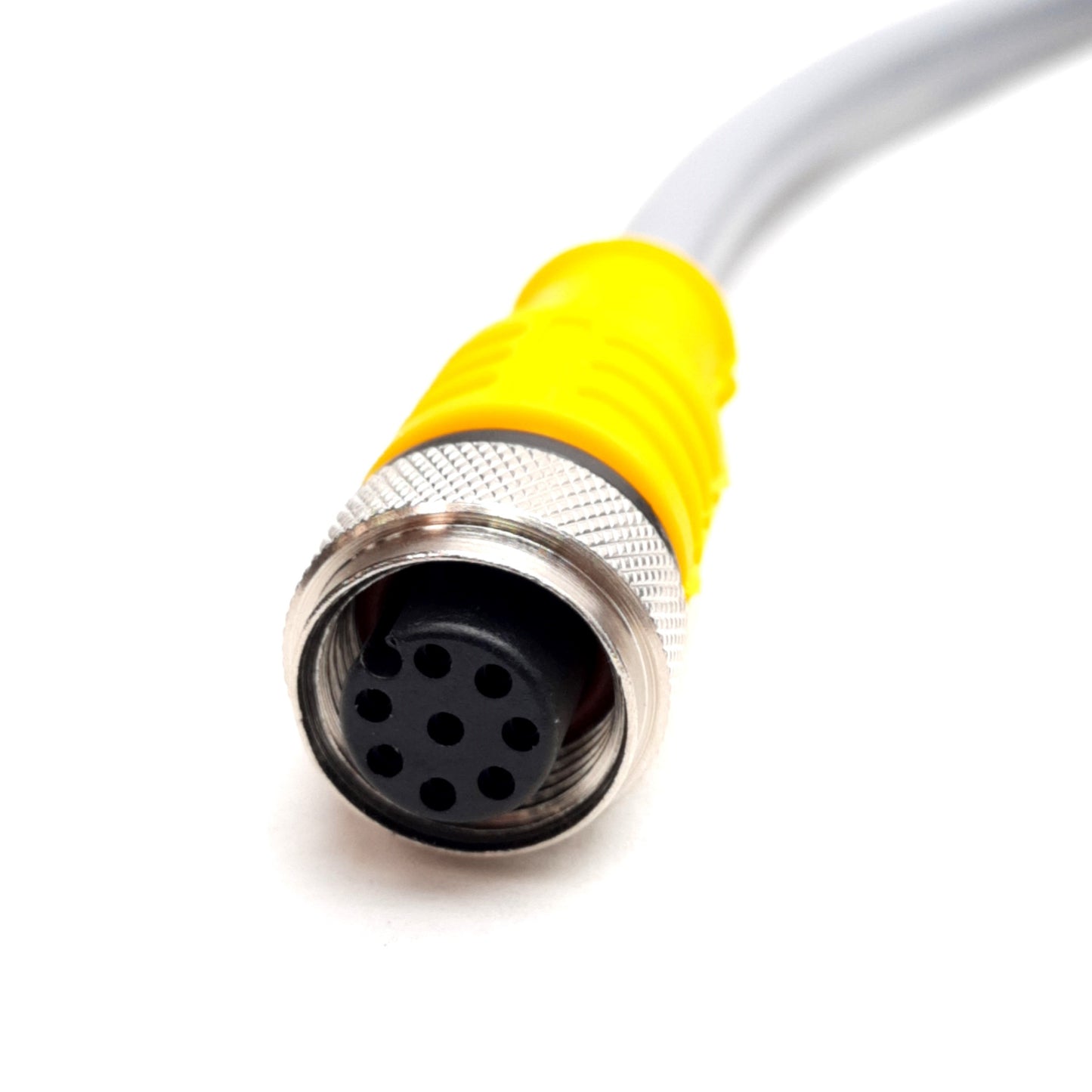 New Turck RKC 8T-5 Single Ended Cordset M12 Female Straight 8-Pin, 60-75V 2A, 5m