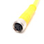New Turck PKG 4M-10 Picofast Cordset, M8 4-Pin Female Straight to Flying Leads, 10m