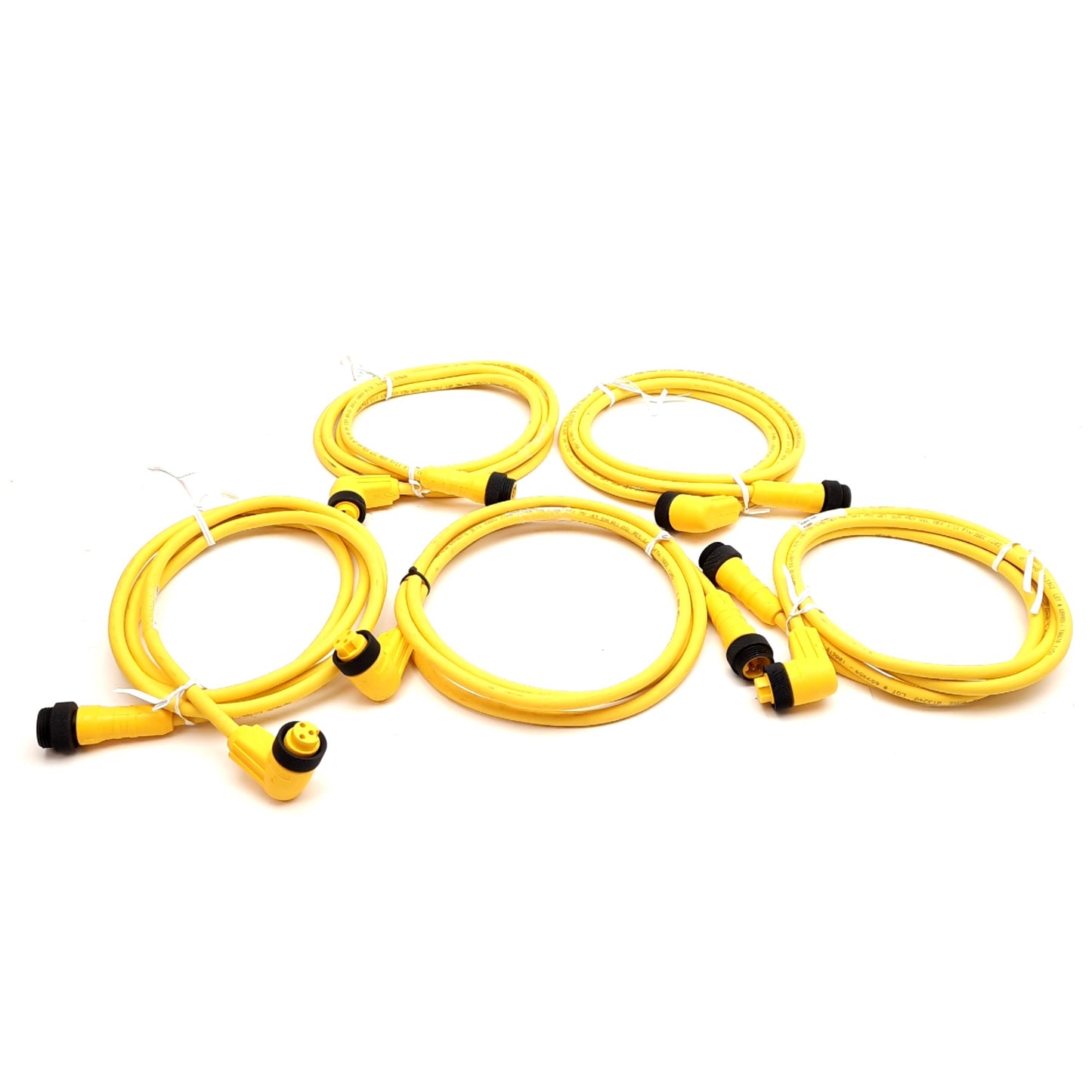 New Lot of 5 Lumberg RSRKW 30-838/2M Cordset, Mini 7/8in 3-Pole, 8A 600V, 2m