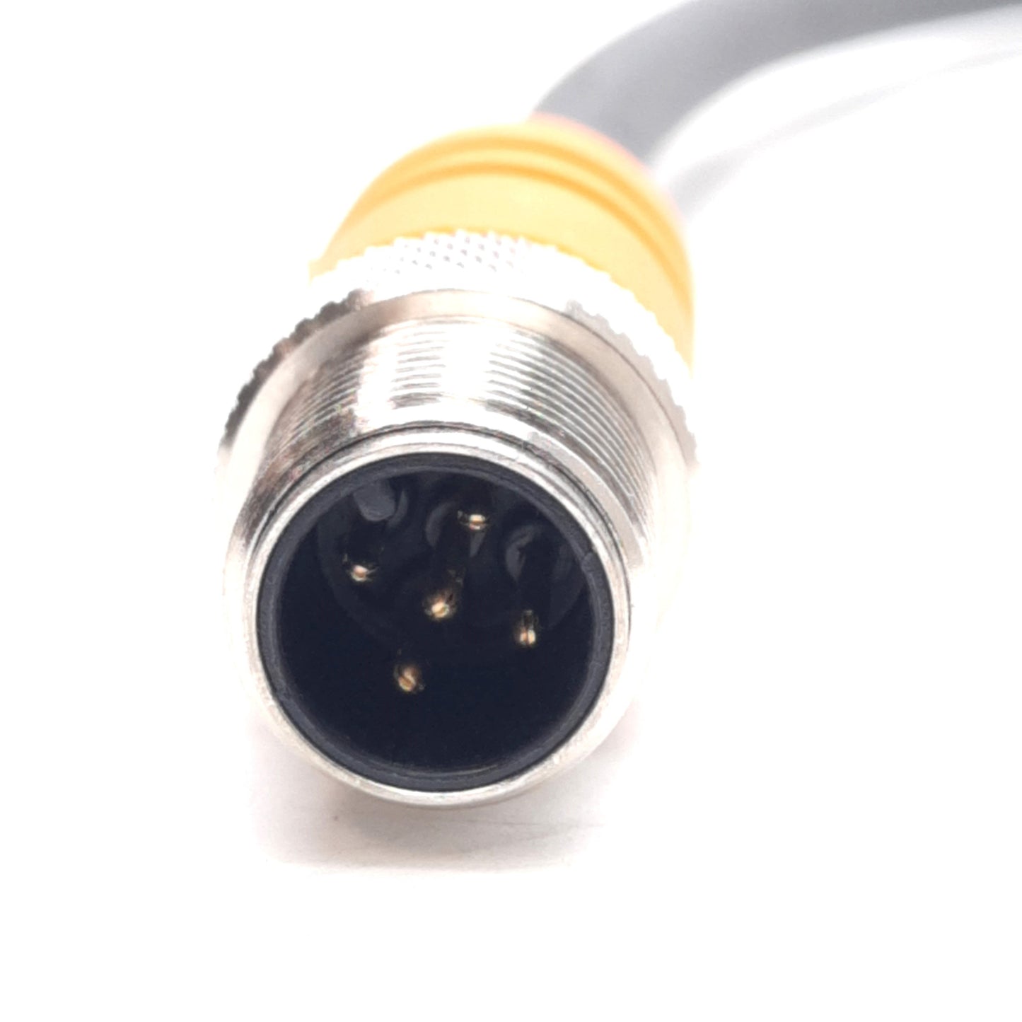 New – Open box Lumberg RSTS 5-RKTS 5-298-0.3M Cordset, 4A 60V, M12 5-Pin Male to Female, 0.3m