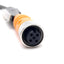 New – Open box Lumberg RSTS 5-RKTS 5-298-0.3M Cordset, 4A 60V, M12 5-Pin Male to Female, 0.3m