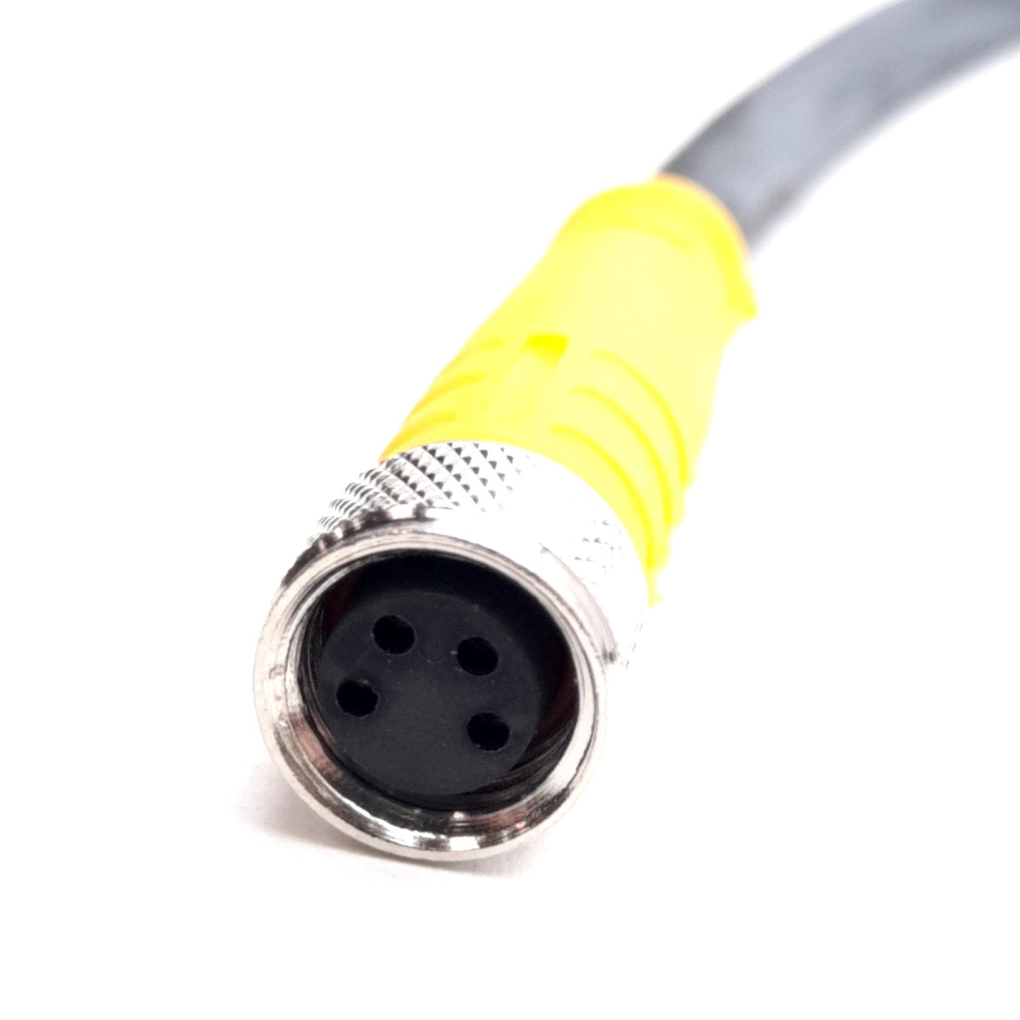 New Turck PKG 4M-0.7-PSW 3M/S90/S101 Cordset, 125VAC/DC 2A, M8 Picofast, 0.7m