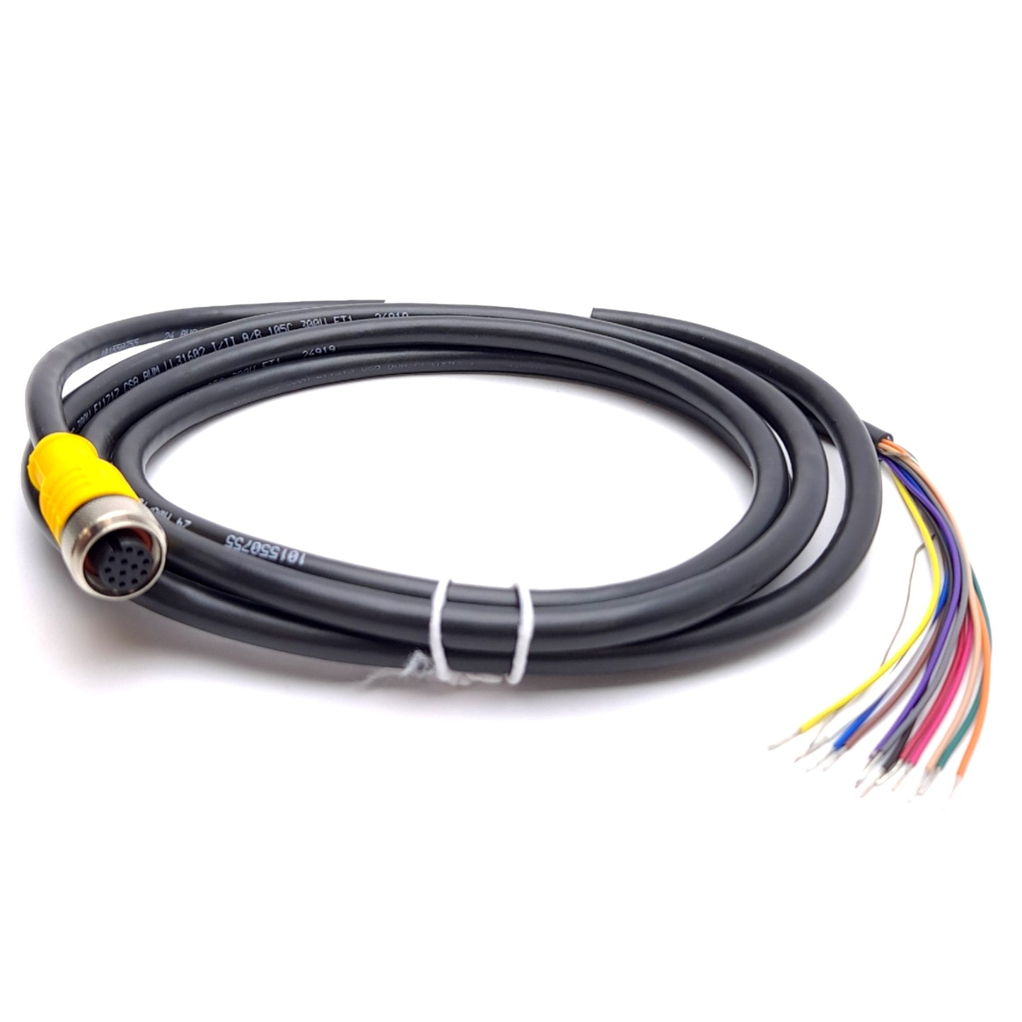 New Turck RKC 12T-2/S618 Cordset, M12 12-Pin Eurofast to Flying Leads, 2m Long