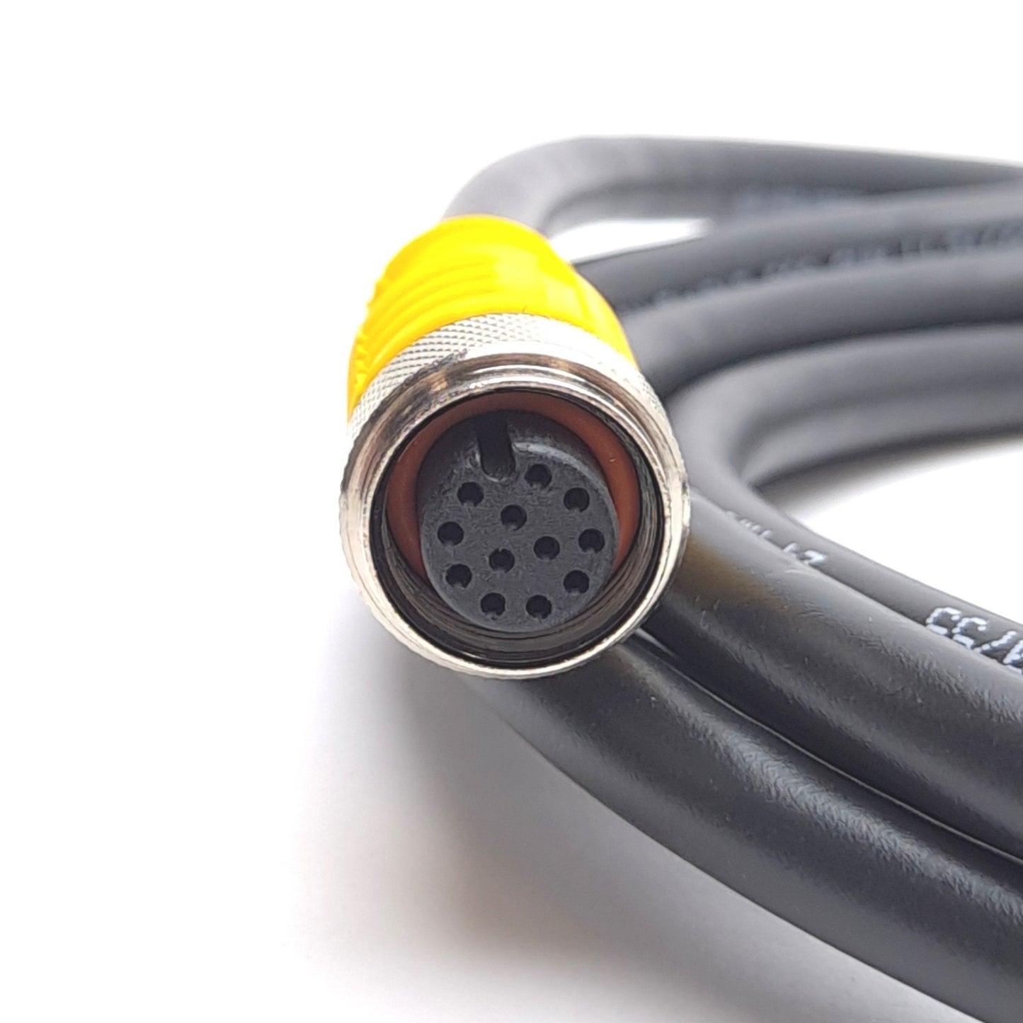 New Turck RKC 12T-2/S618 Cordset, M12 12-Pin Eurofast to Flying Leads, 2m Long