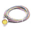 New Mencom MIN-19FR-6 MIN Size III Receptacle 19-Pin M25 Female to Flying Leads, 6ft