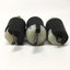 Used Lot of 3 Hubbell HBL2621 Twist-Lock Plugs 1Ø NEMA L6-30P 2P 3W 30A 250V