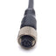 New – Open box Allen Bradley 89D-F8AB-15 Cordset Cable, M12 8-Pin Female to Flying Leads, 15m
