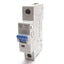 New Allen Bradley 1492-D1C320 Mini Circuit Breaker, 1-Pole, C-Curve, 250VDC 32A
