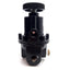 Used Wilkerson P19-02-A00 Pneumatic Regulator 250PSIG Inlet 0-2PSIG Adjustment NPT1/4