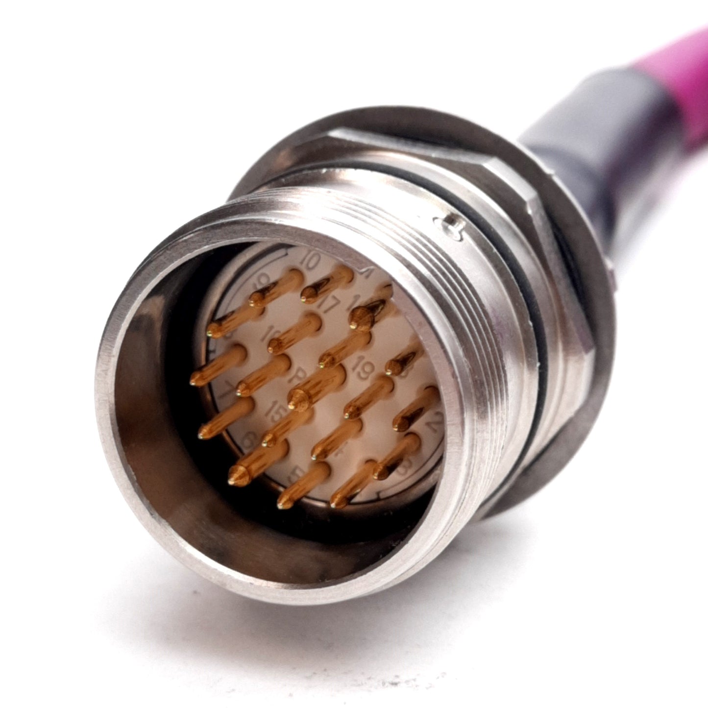 New Turck P-CSFLV 19-195-1.5 Cordset 150V 2A, M23 Multifast 19-Pin Male, M20, 1.5m