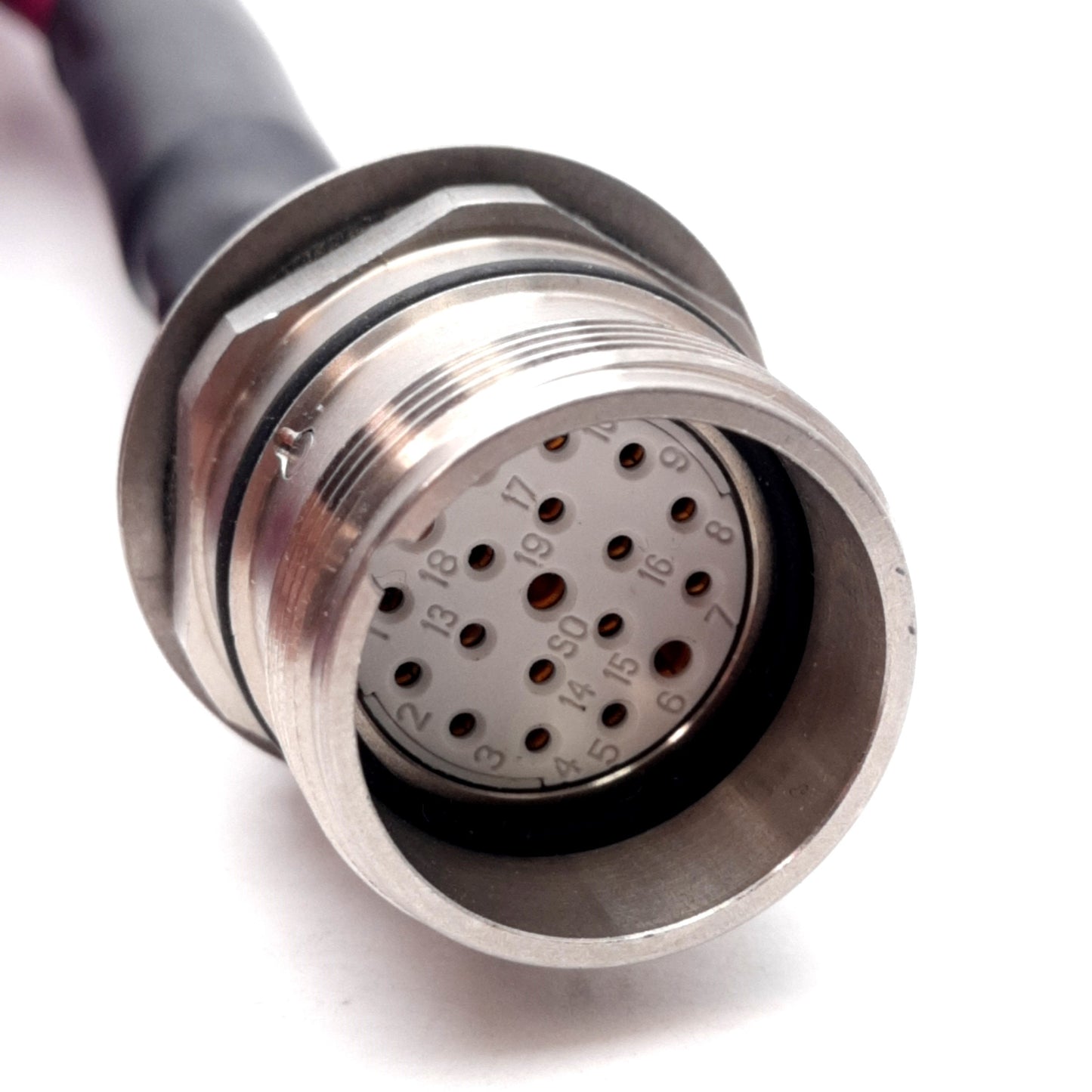 New Turck P-CKFLV 19-195-1.5 Cordset 150V 2A, M23 Multifast 19-Pin Female, M20, 1.5m