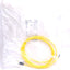 New Murr Elektronik 7000-08041-0300300 Cable , M8 3-Pin Female to Flying Leads, 3m