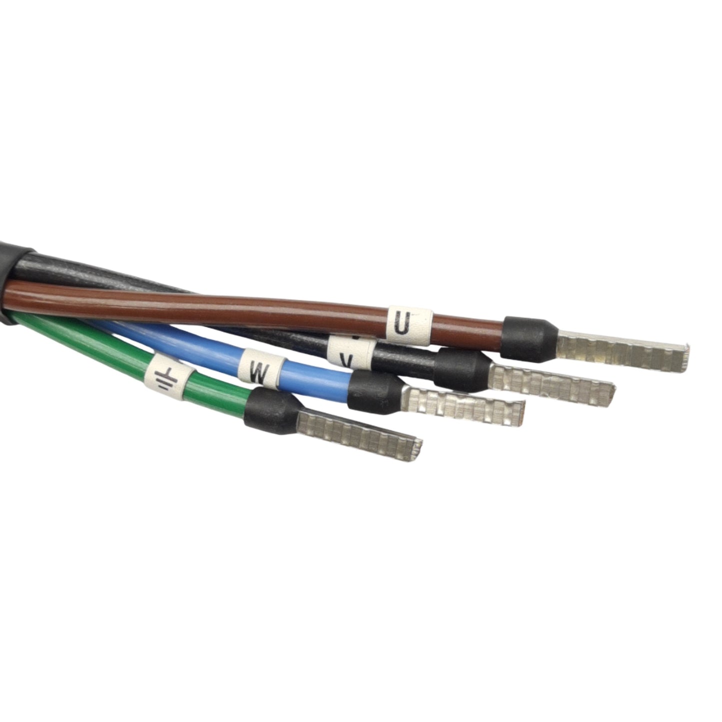 Used Allen Bradley 2090-UXNPAMP-10S03 Motor Power Cable, 4-Pin Bayonet, 600V, 3m Long