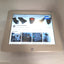 Used Elo E157880 LCD IntelliTouch Monitor, 17", 1280x1024, VGA/DVI, USB, 100mm Vesa