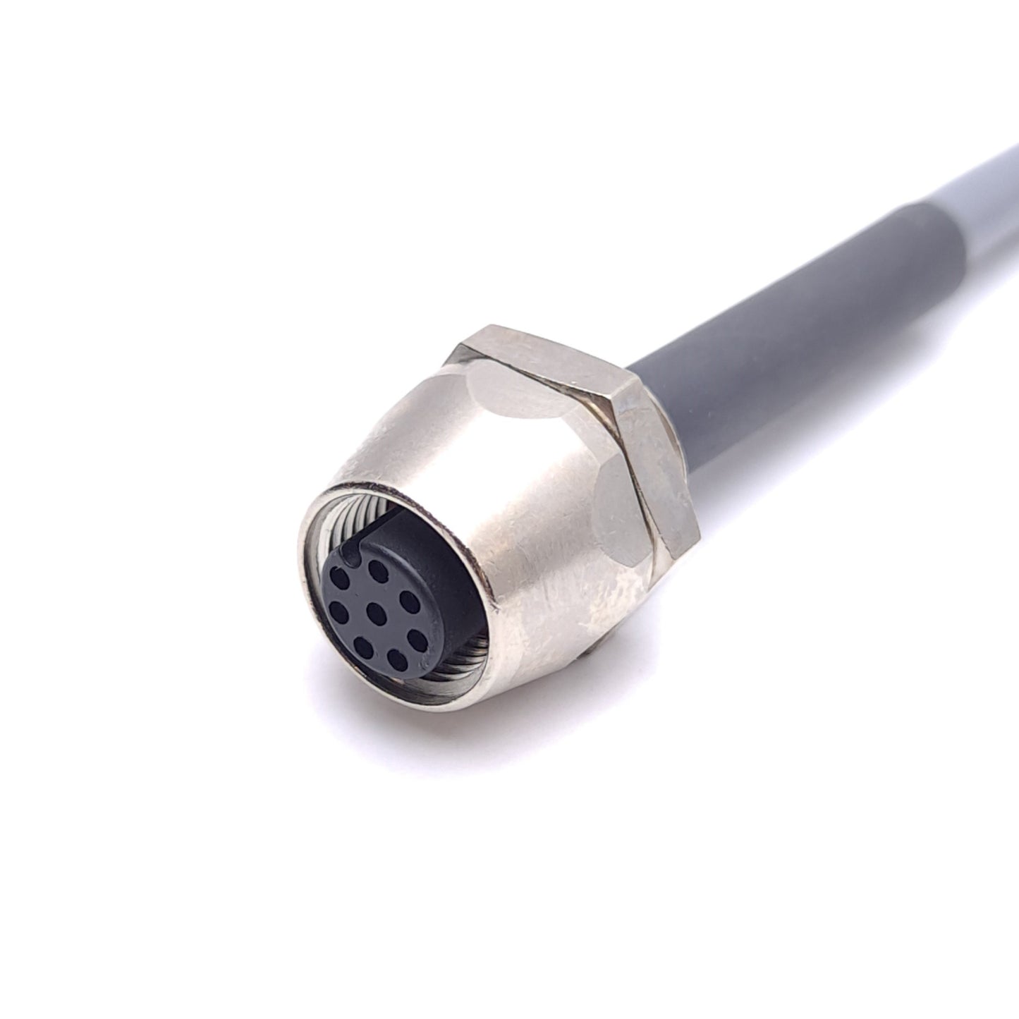 New Turck FK 8-1/18.25/S717 U-75487 Receptacle, M12 8-Pin Female to Flying Leads, 1m