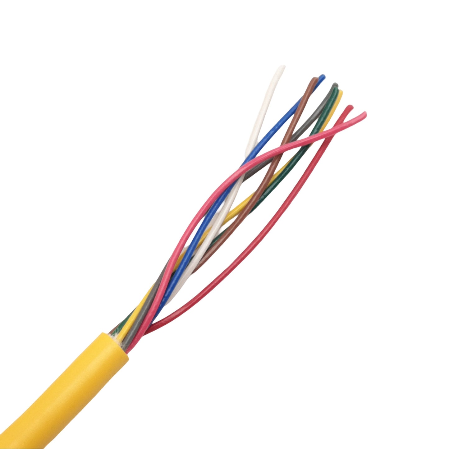 New – Open box Phoenix Contact 1405851 Sensor/Actuator Cable 30V A-Coded 8-Pin M12 Female 30m