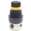 New Monnier 101S-3000-2 Regulator, 250psi Max, 1/4in NPT Ports, Stainless Steel