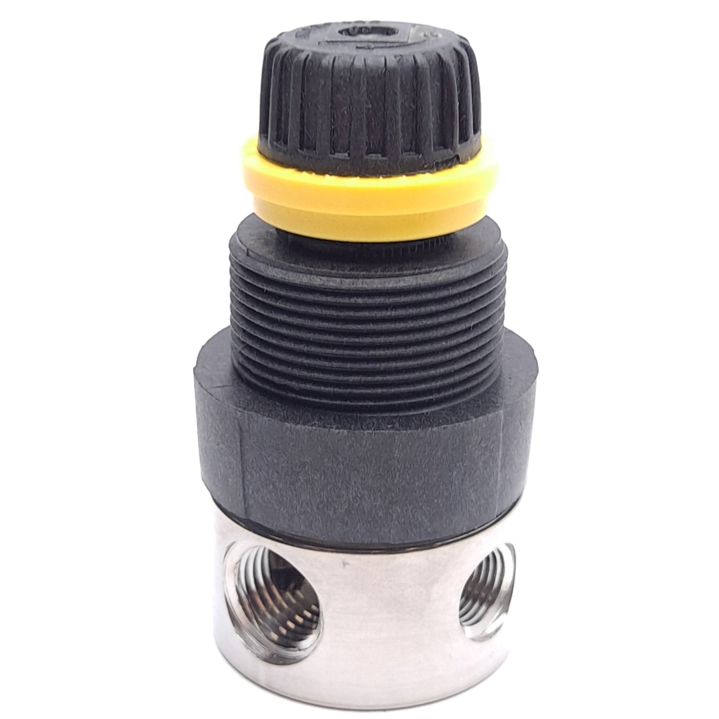 New Monnier 101S-3000-2 Regulator, 250psi Max, 1/4in NPT Ports, Stainless Steel