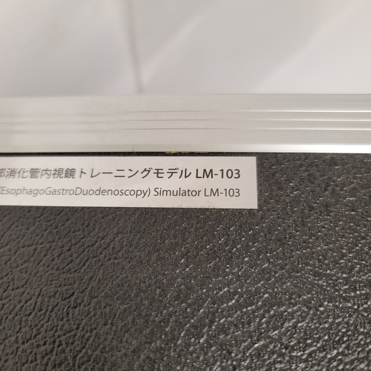 Used Koken LM-103 EGD Esophago-Gastro-Duodenoscopy Simulator Anatomical Model