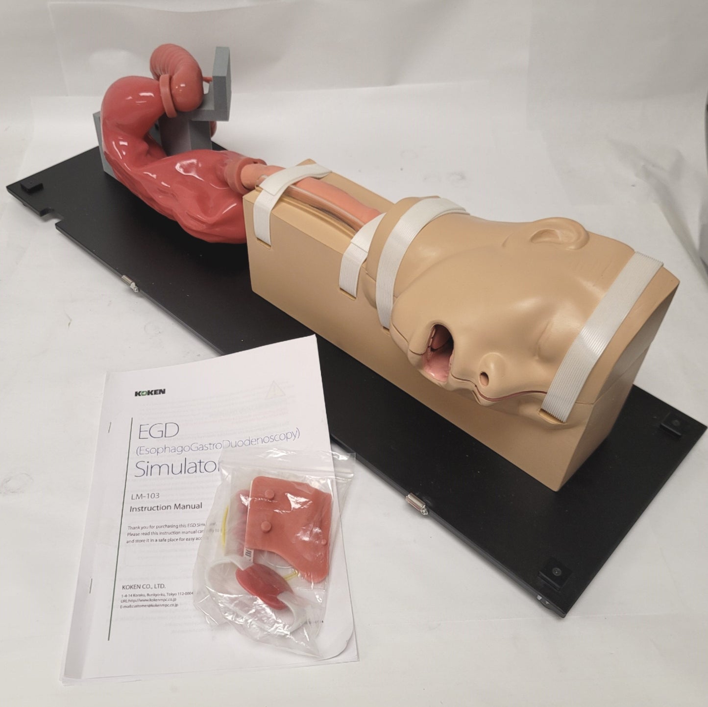 Used Koken LM-103 EGD Esophago-Gastro-Duodenoscopy Simulator Anatomical Model