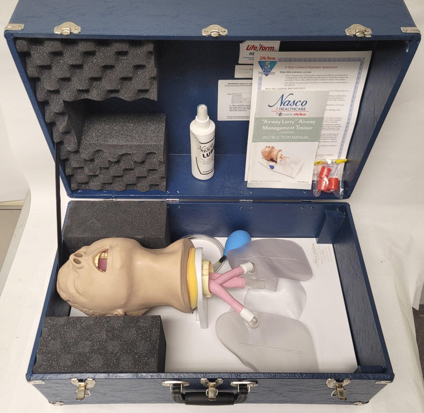 Used Nasco Life Form LFO3699 Airway Larry Airway Management Trainer Anatomical Model
