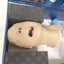 Used Nasco Life Form LFO3699 Airway Larry Airway Management Trainer Anatomical Model