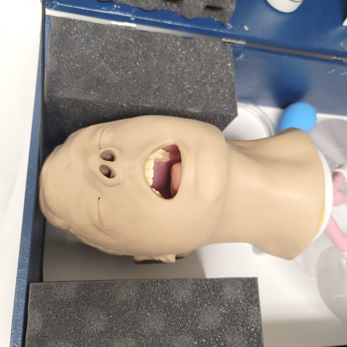 Used Nasco Life Form LFO3699 Airway Larry Airway Management Trainer Anatomical Model