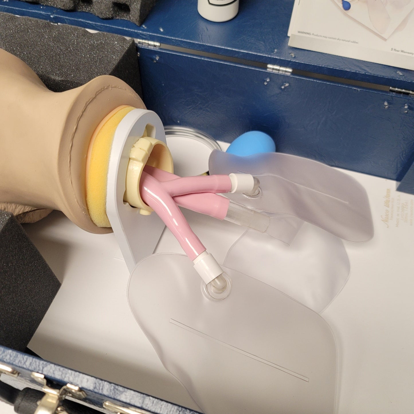 Used Nasco Life Form LFO3699 Airway Larry Airway Management Trainer Anatomical Model