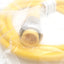 New Mencom MIN-3MPX-6 Cordset, Single Ended 3 pin Straight Male, MIN Size I, 7/8-16