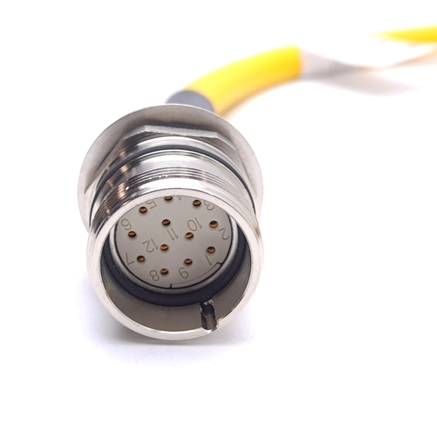 New Turck P-CKFL 12-088-1.5 UX13748 Receptacle, M23 12-Pin Female, 1.5m Length