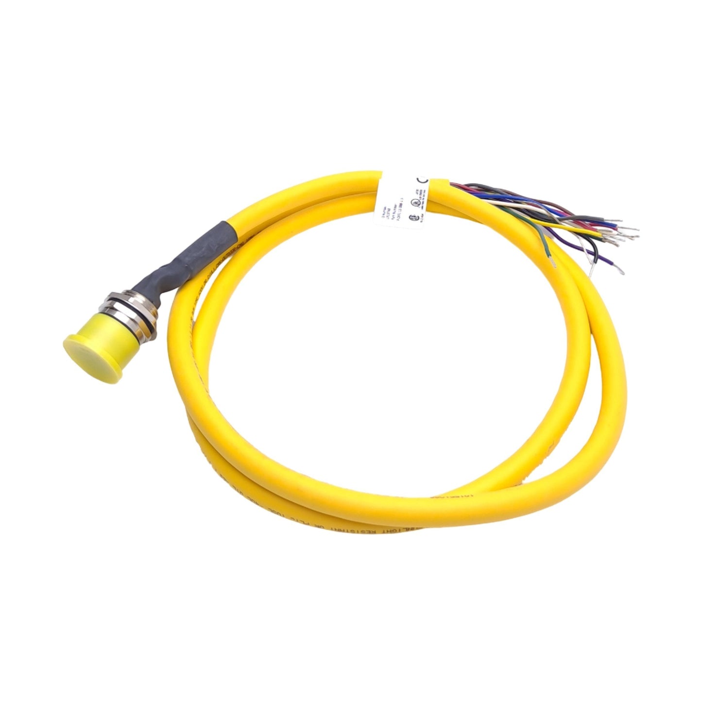 New Turck P-CKFL 12-088-1.5 UX13748 Receptacle, M23 12-Pin Female, 1.5m Length