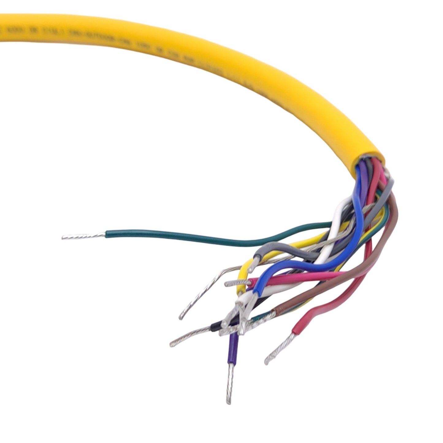 New Turck P-CKFL 12-088-1.5 UX13748 Receptacle, M23 12-Pin Female, 1.5m Length