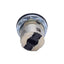 New Allen Bradley 800FM-SM22N Selector Switch Maintained 2-Position ø22.5mm Mounting