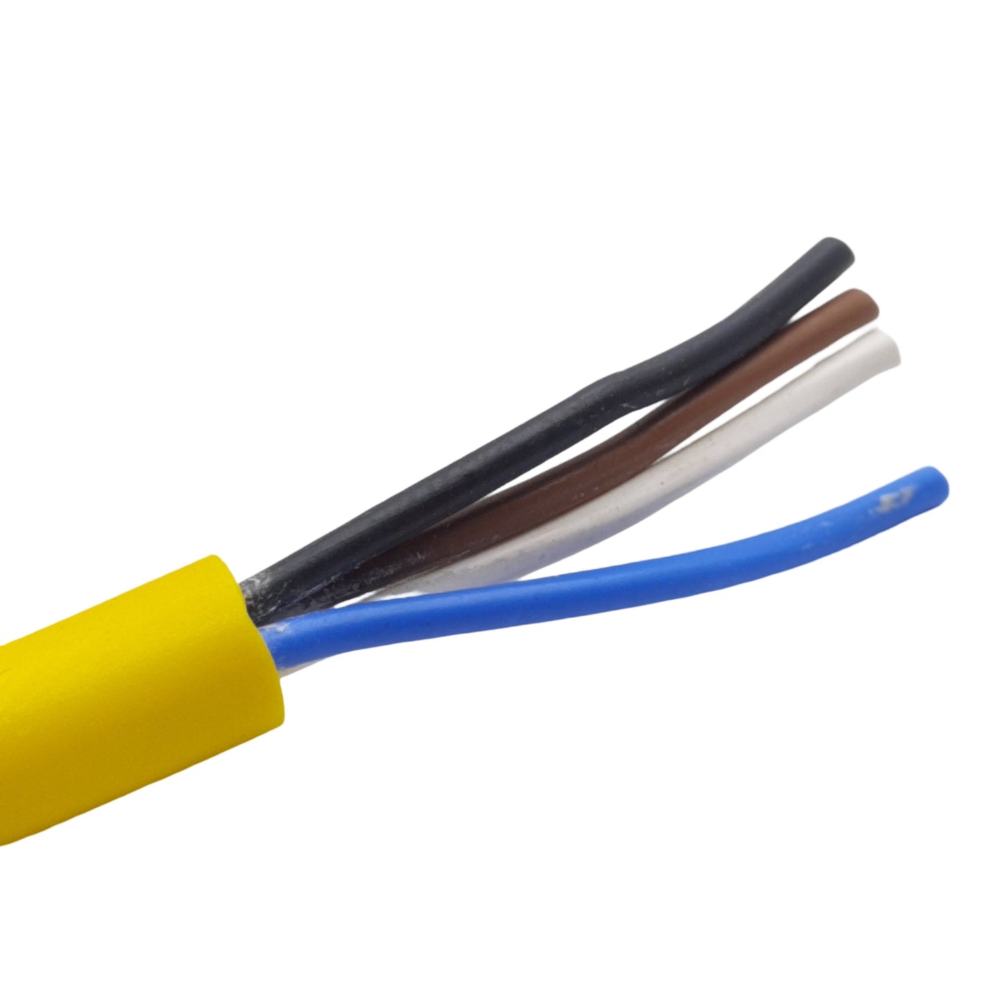 New – Open box Lot of 2 Murr Elektronik 7000-12021-0140500 Cordset, 250VAC/DC 4A, M12 4-Pin, 5m