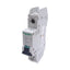 Used Schneider Electric 60103 Circuit Breaker, 1-Pole, 2A, 240VAC/60VDC, DIN Rail