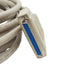 Used L-Com CSMN37MF-25 Molded D-Sub Extension Cable, DB37M to DB37F, 25Ft Length
