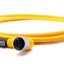 New Lumberg Automation RST 4-RKWT 4-602/2M Sensor, Actuator Cable M12 4 Pin M to F