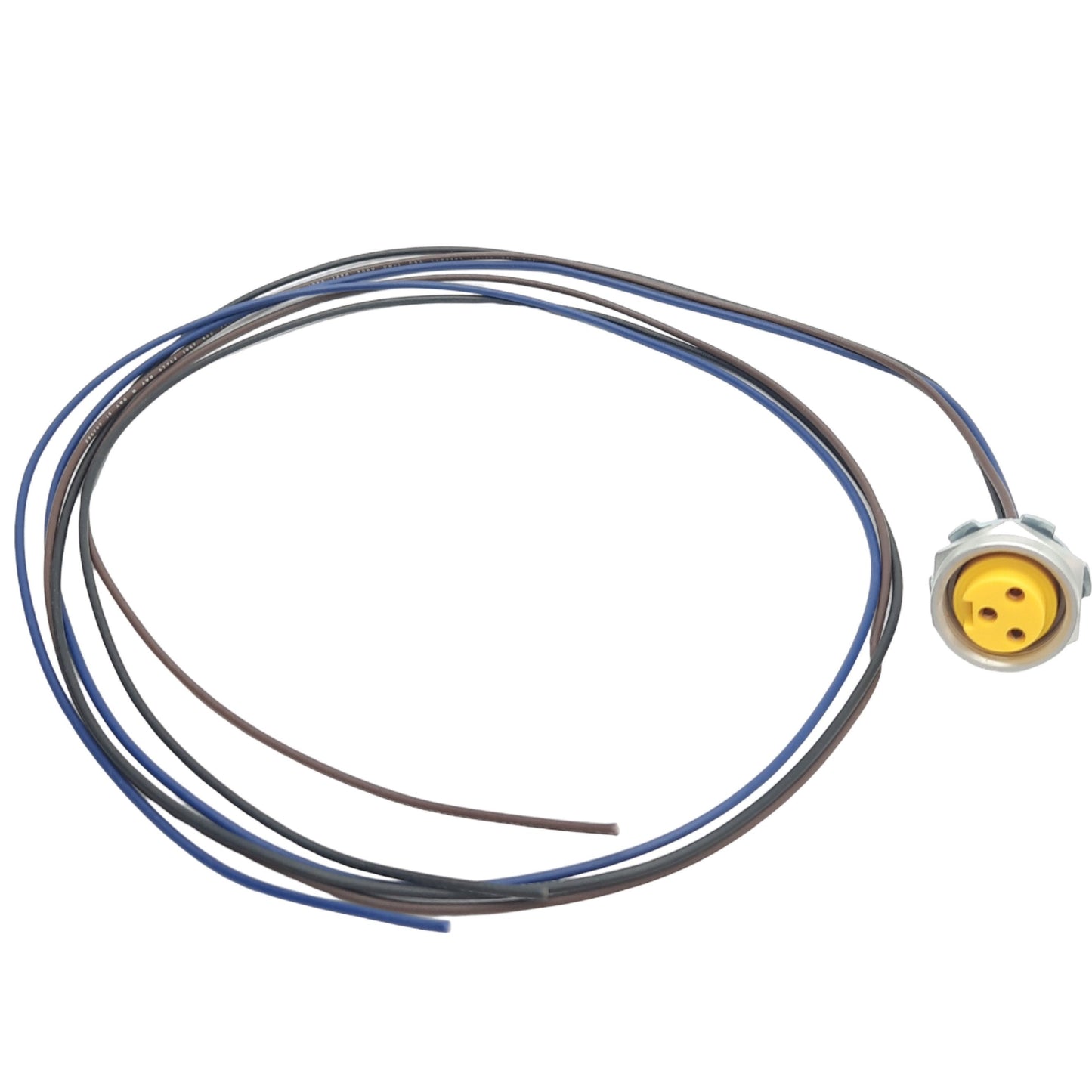 New Lot of 2 Lumberg RKF 30-695/1M Power Receptacle, 7/8in 3-Pin, 1m, 8A 300V