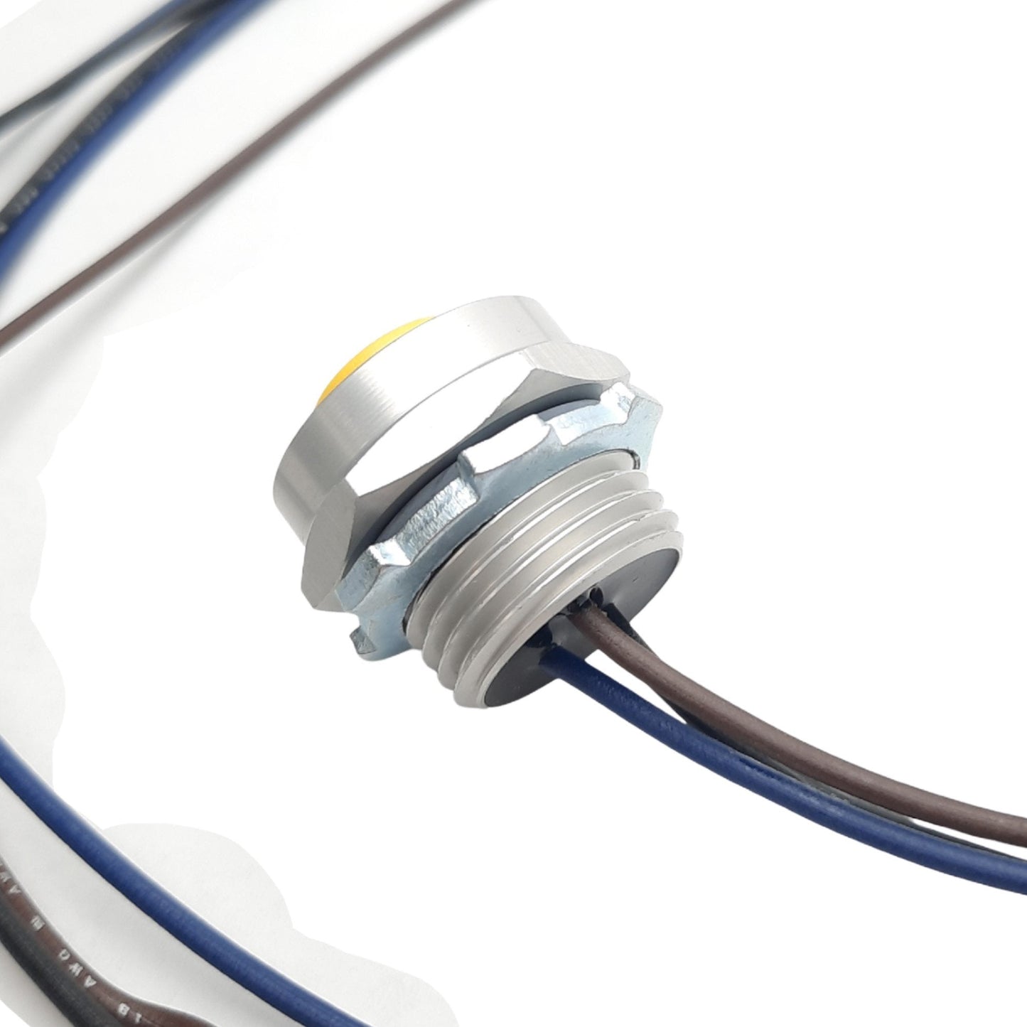 New Lot of 2 Lumberg RKF 30-695/1M Power Receptacle, 7/8in 3-Pin, 1m, 8A 300V