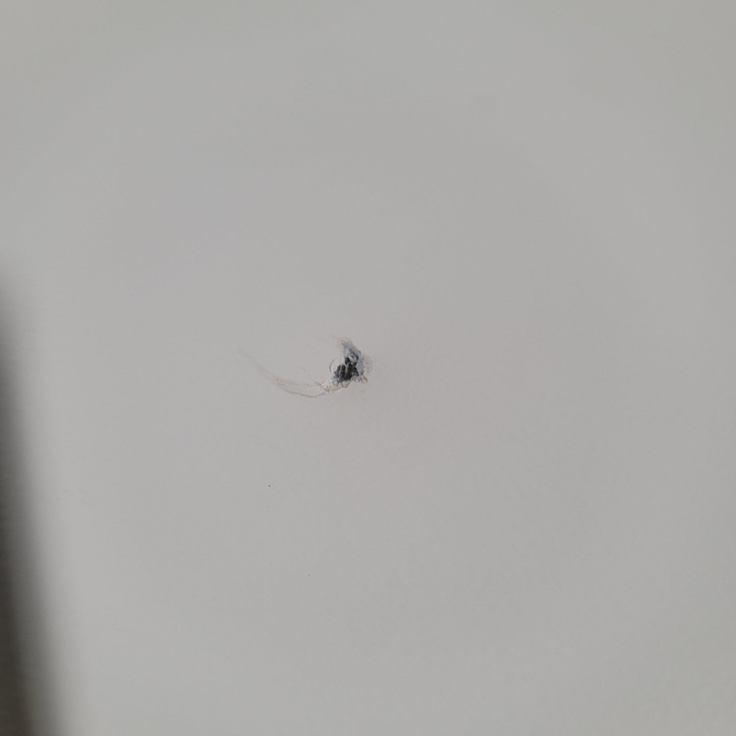 Used Binder FD-115-UL Forced Convection Drying/Heating Oven Amb To 300°C 120VAC 12.5A