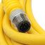 Used Turck SBE 5T-8 Single-ended Cordset, 5-Pin 1/2in-20 UNF Male, 250V 4A, 8m